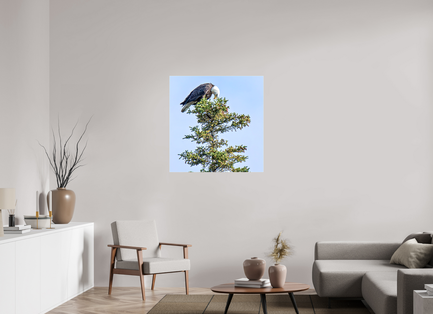 Silent Sentinel – Bald Eagle in Alaska’s Pines Nature Photography Print