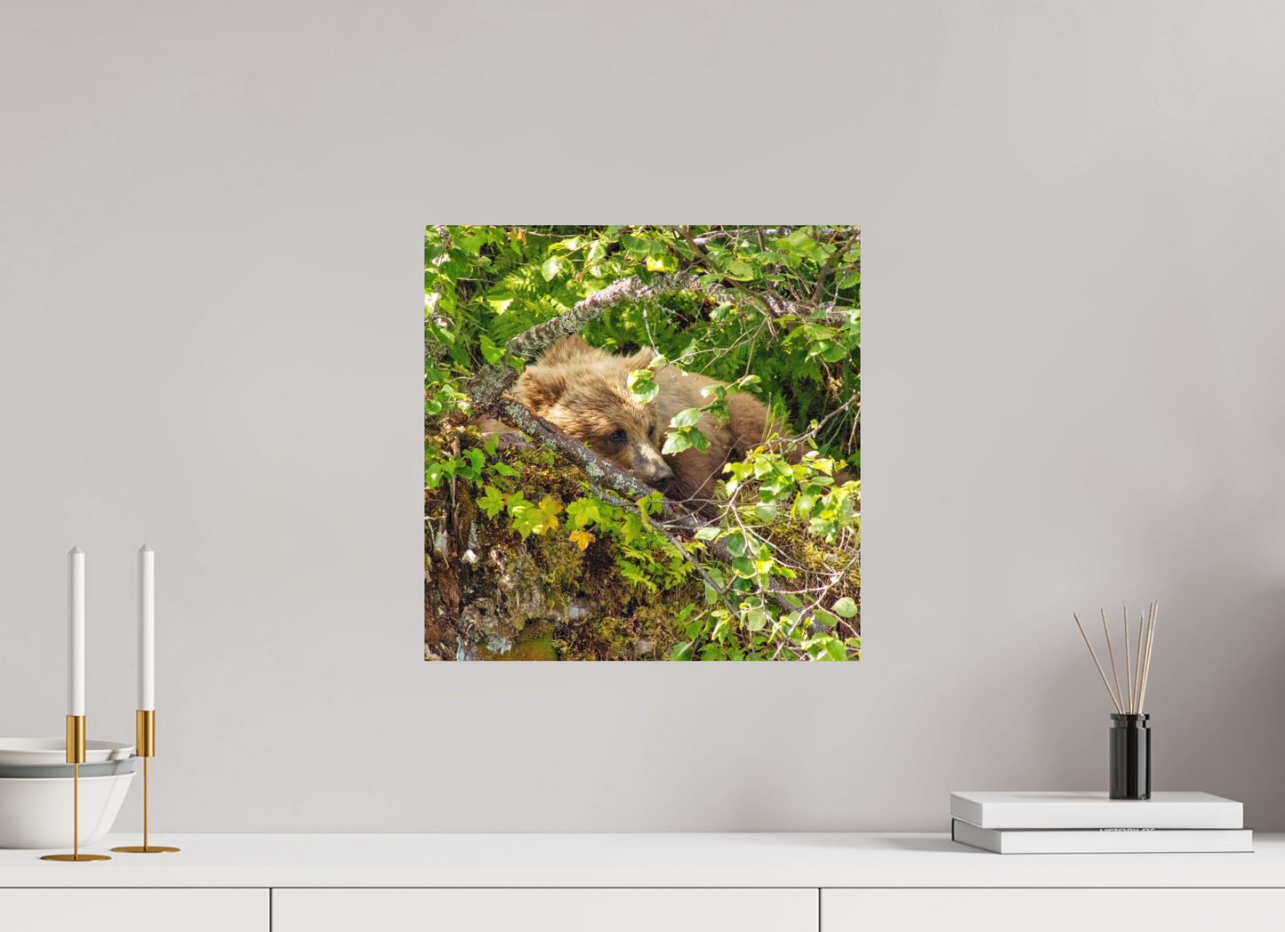 Hide and Peek Nature Photography Print