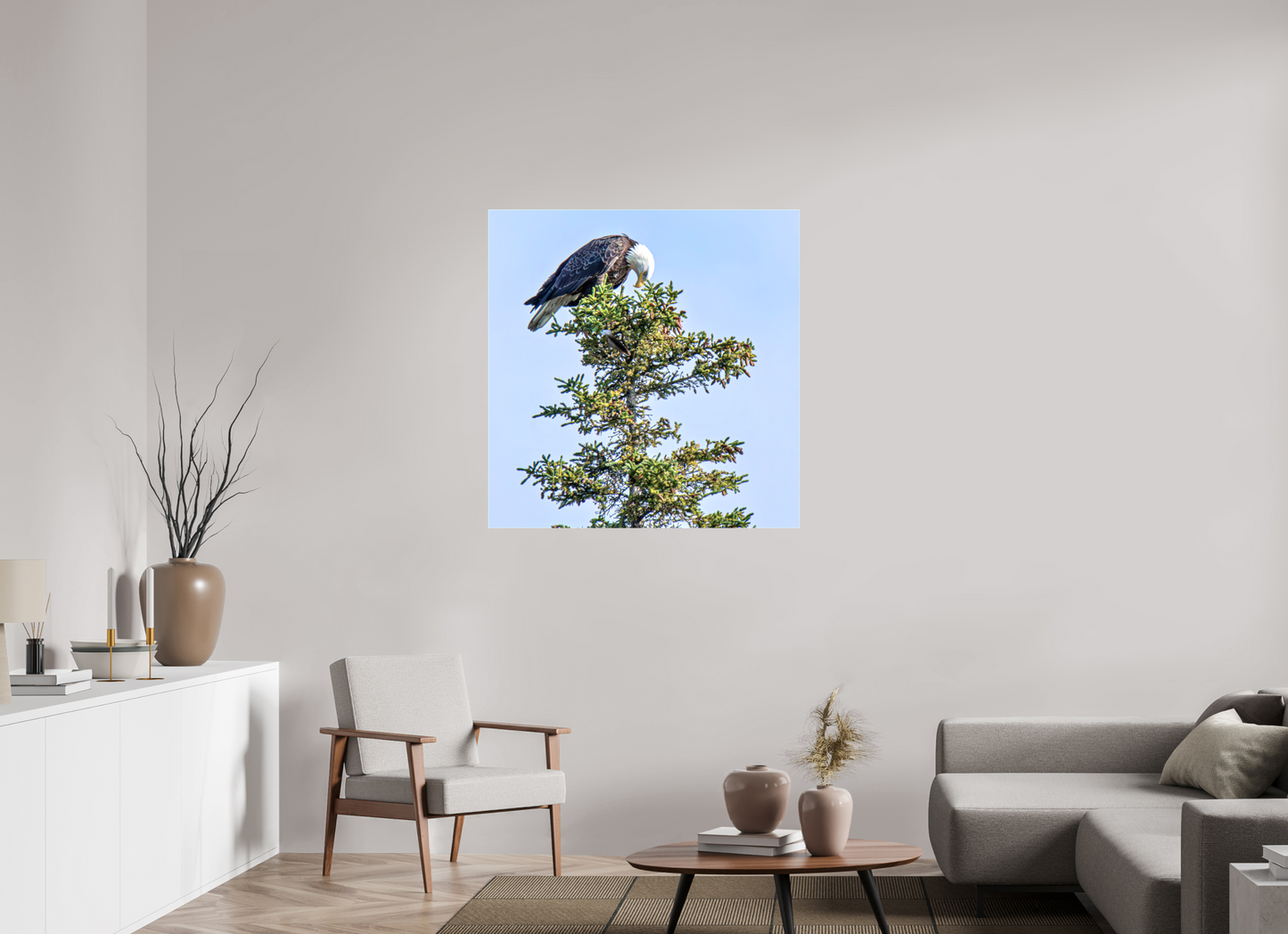 Silent Sentinel – Bald Eagle in Alaska’s Pines Nature Photography Print