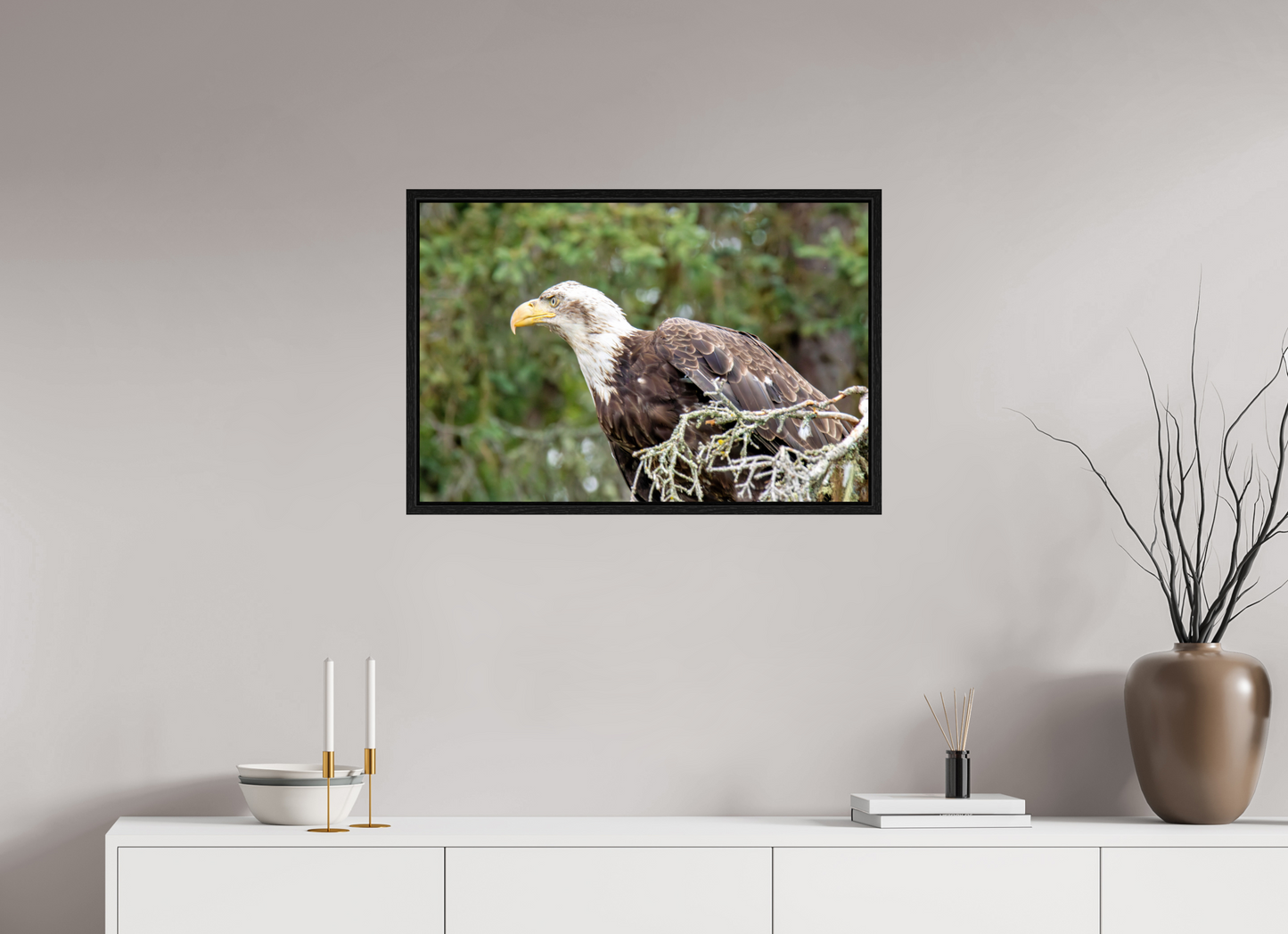 Majestic Watch – Bald Eagle on the Kenai Peninsula Nature Photography Print