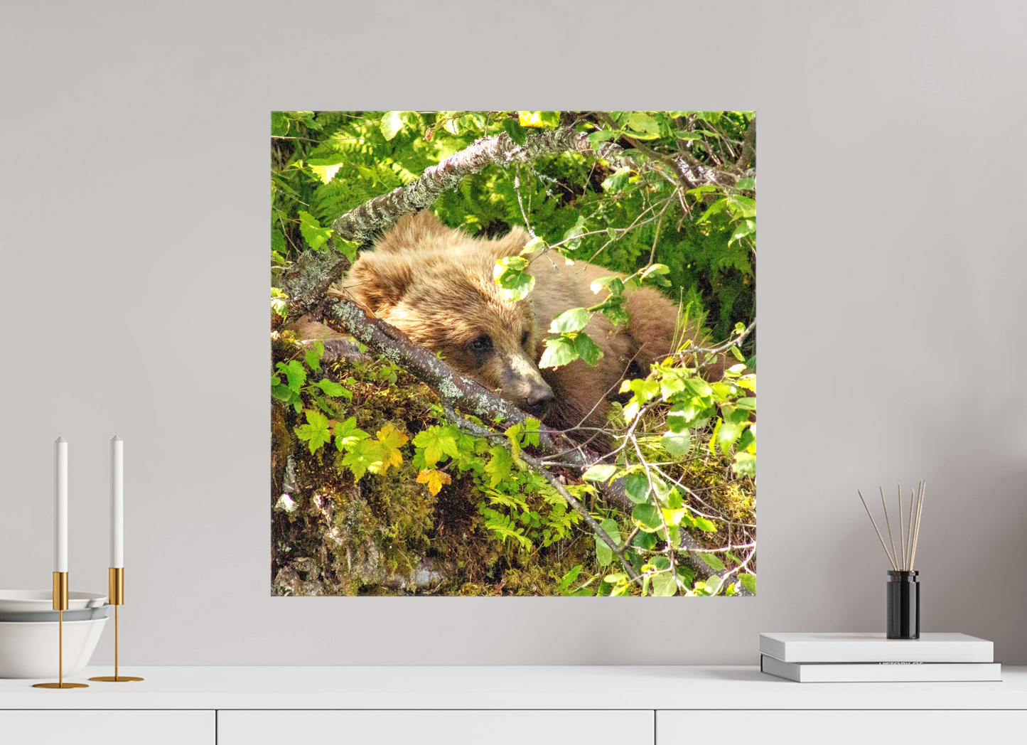 Hide and Peek Nature Photography Print
