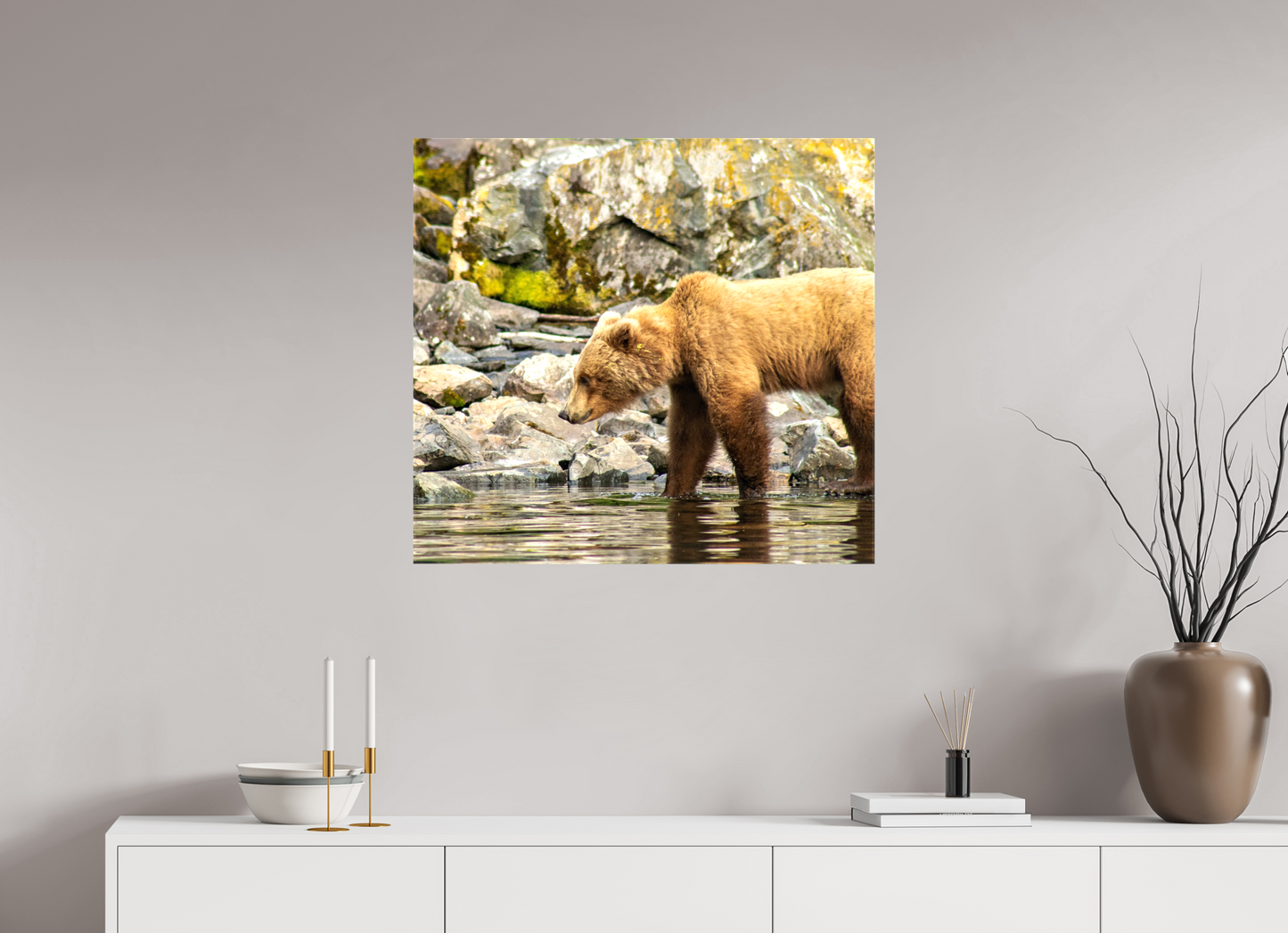 Looking for Dinner Nature Photography Print