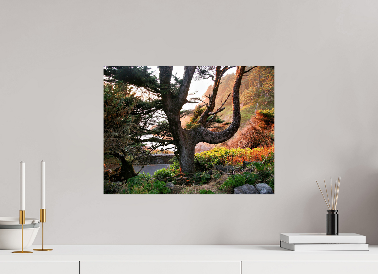 Sunset Glow Fine Art Nature Photography Print