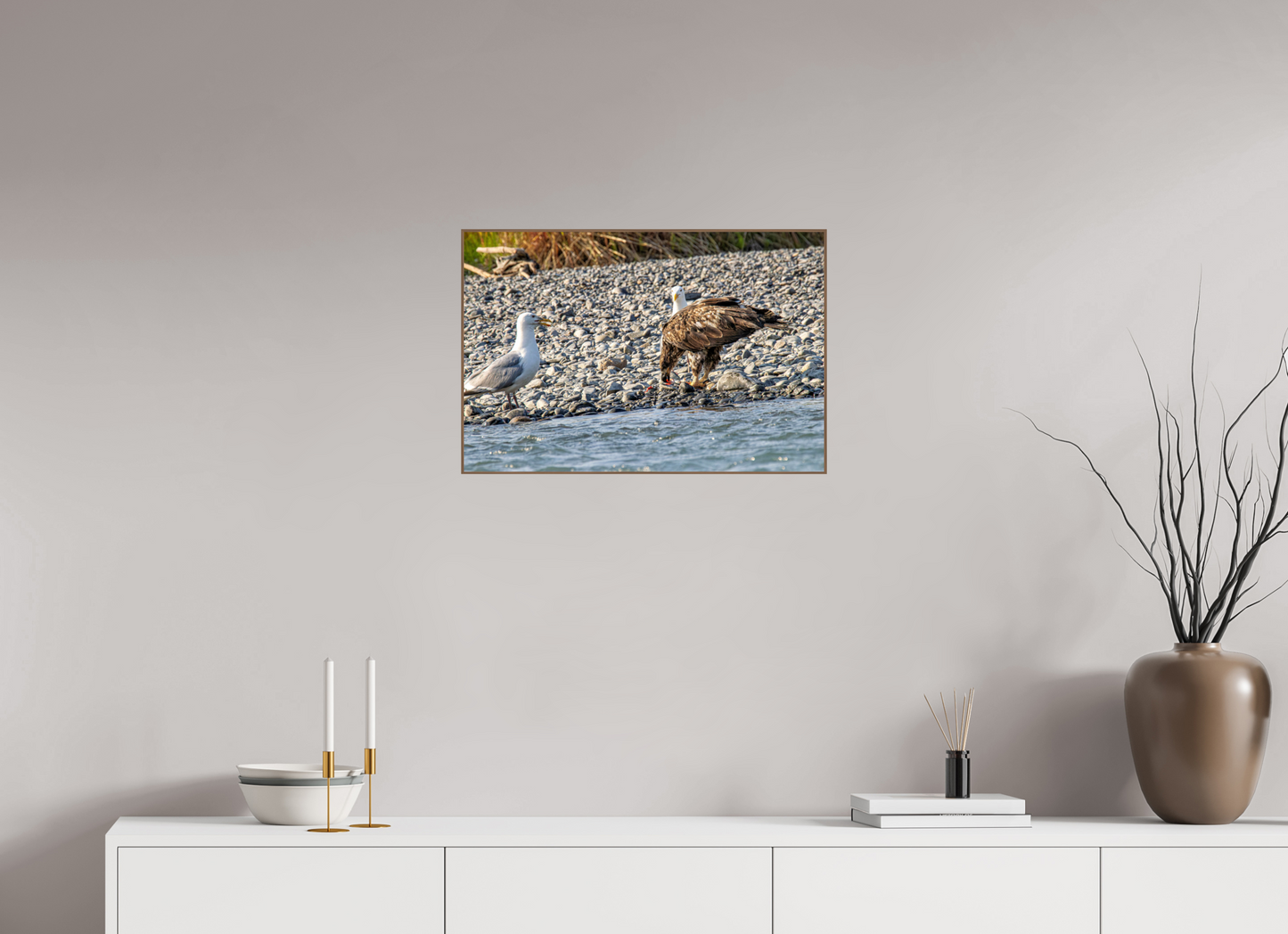 Mine? Mine? – Bald Eagle and Seagull Shoreline Standoff Nature Photography Print