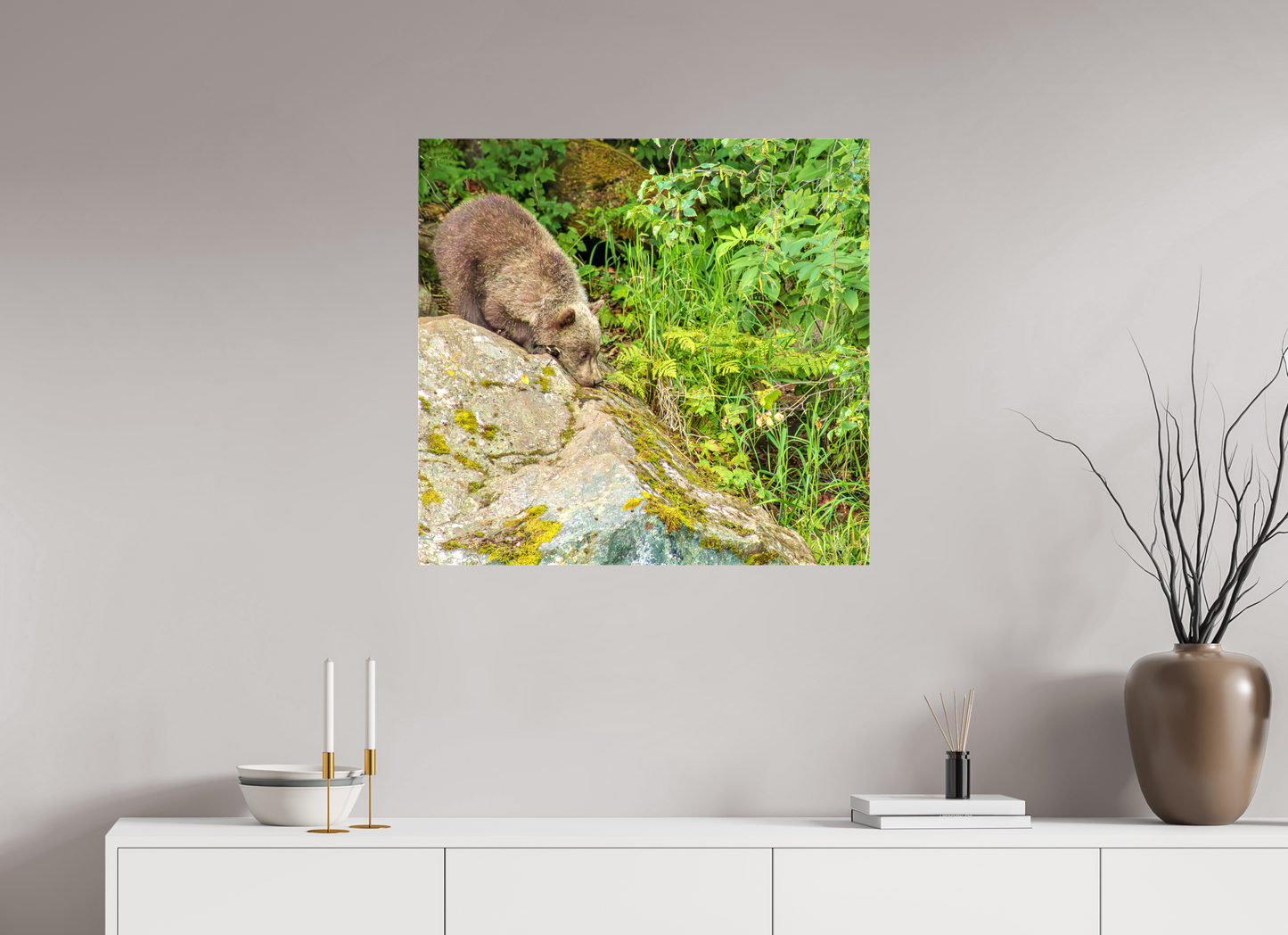 Learning the Ropes Nature Photography Print
