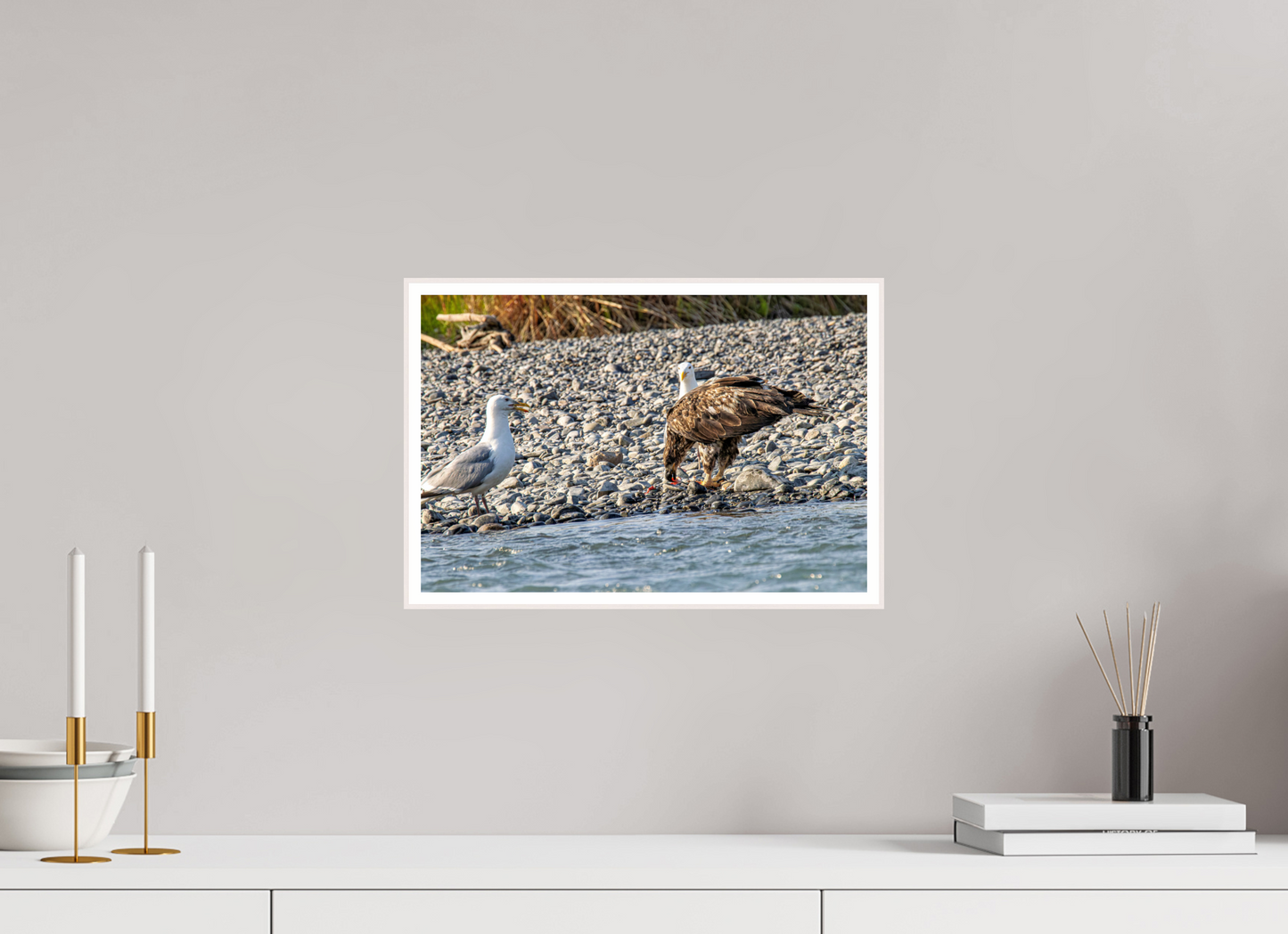 Mine? Mine? – Bald Eagle and Seagull Shoreline Standoff Nature Photography Print