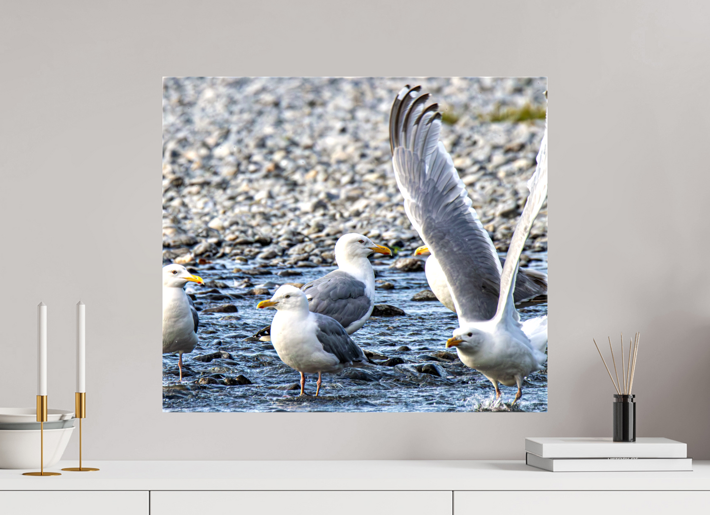 Wings in Motion – Seagulls on the Kasilof River, Alaska Nature Photography Print