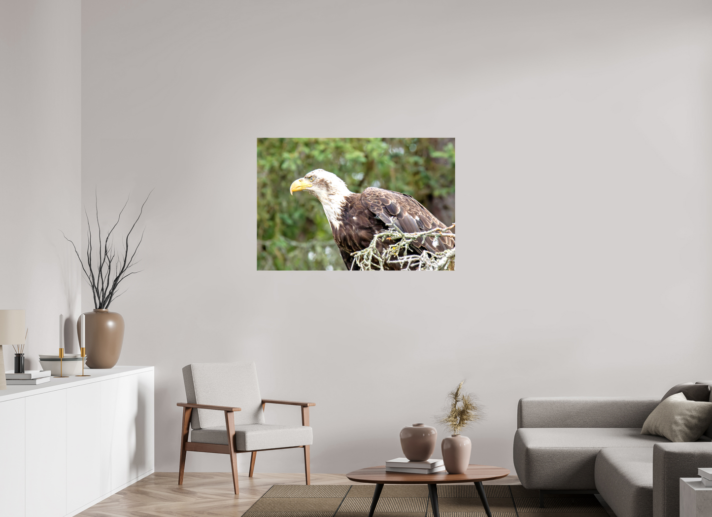 Majestic Watch – Bald Eagle on the Kenai Peninsula Nature Photography Print