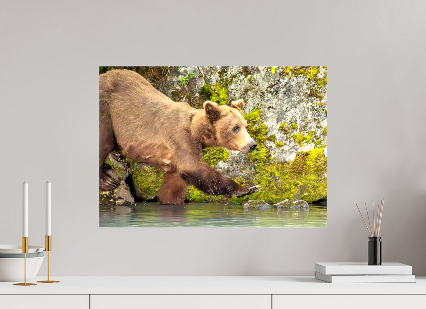 Momma on a Mission Nature Photography Print