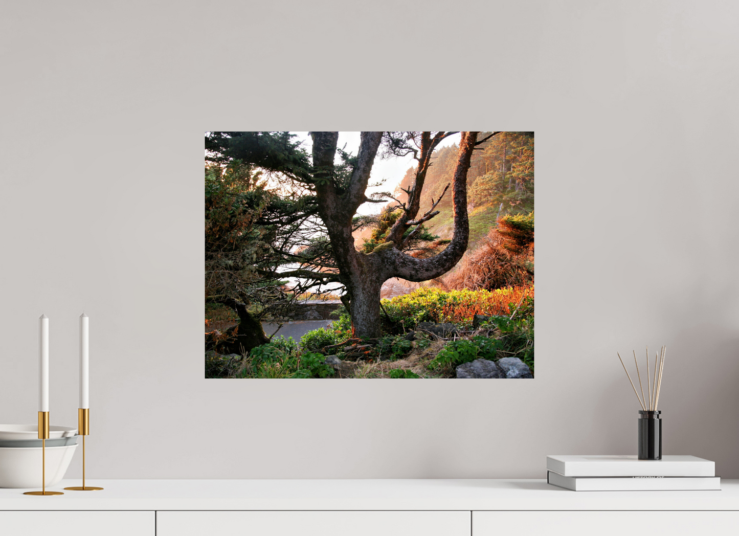 Sunset Glow Fine Art Nature Photography Print