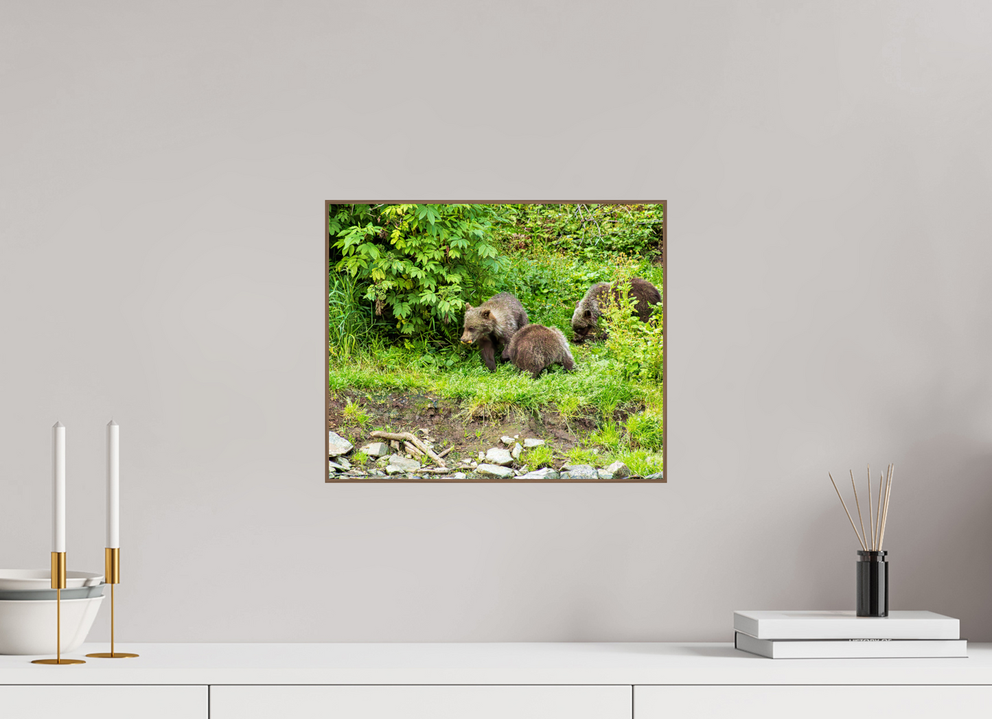 Brown Bear Triplets