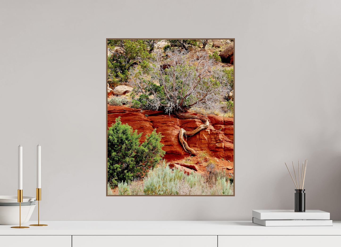 Resilient Roots – Twisted Tree in Red Rock Desert Fine Art Print