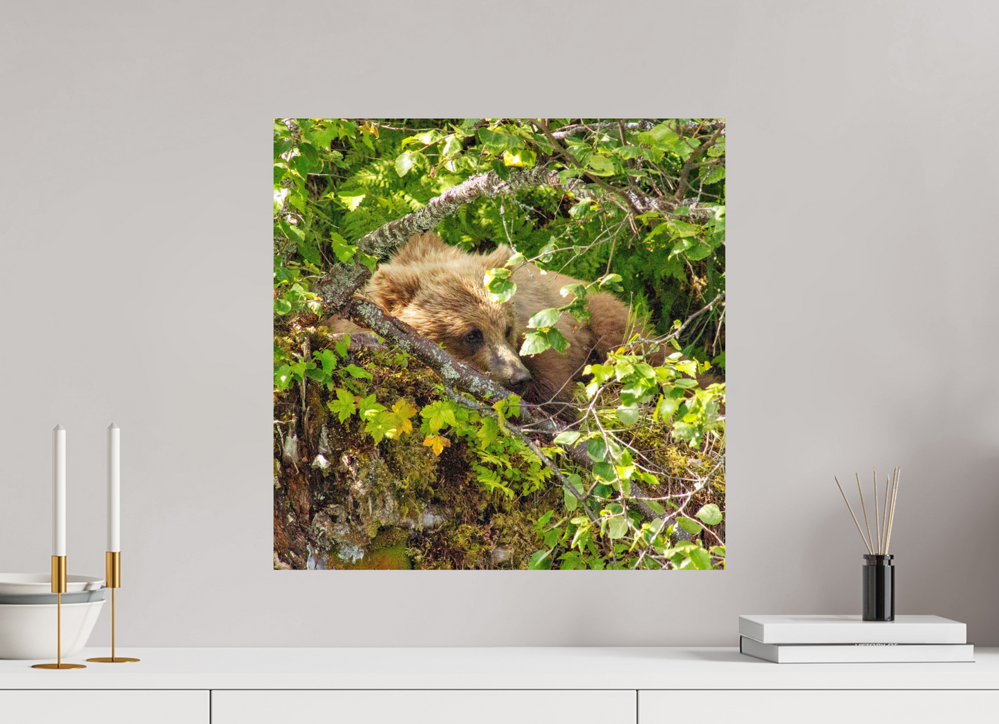 Hide and Peek Nature Photography Print