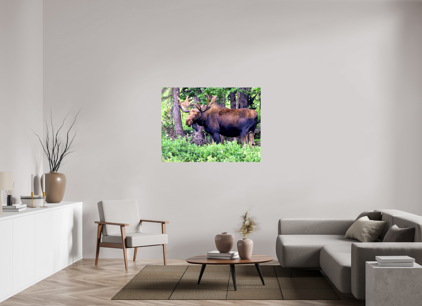 Watchful Moose - Fine Art Wildlife Print