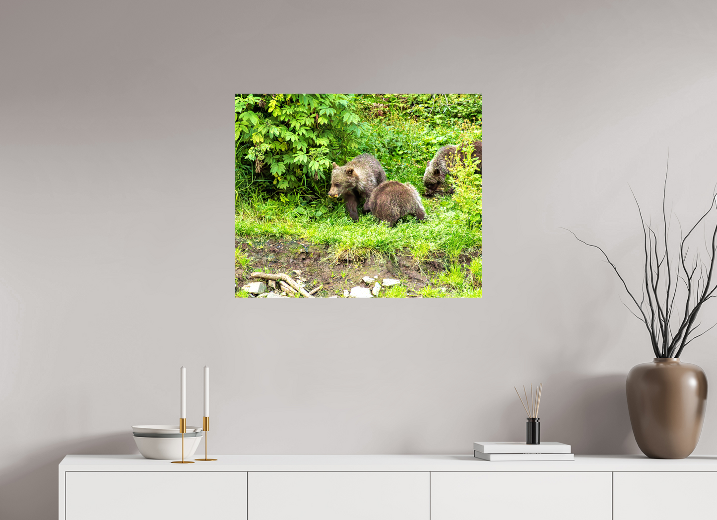 Brown Bear Triplets