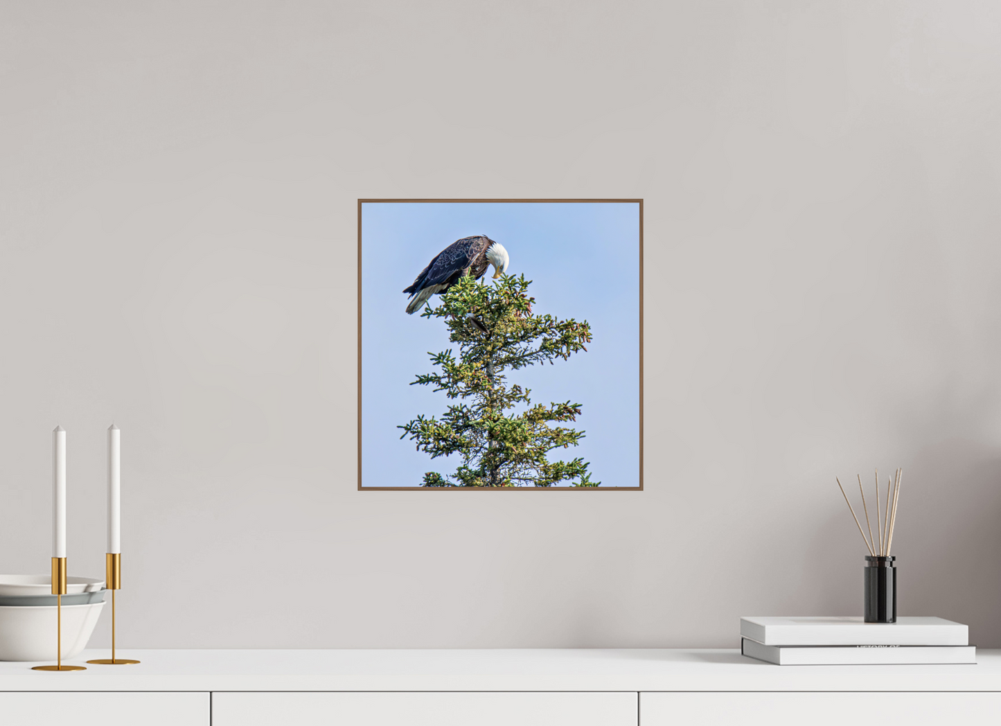 Silent Sentinel – Bald Eagle in Alaska’s Pines Nature Photography Print