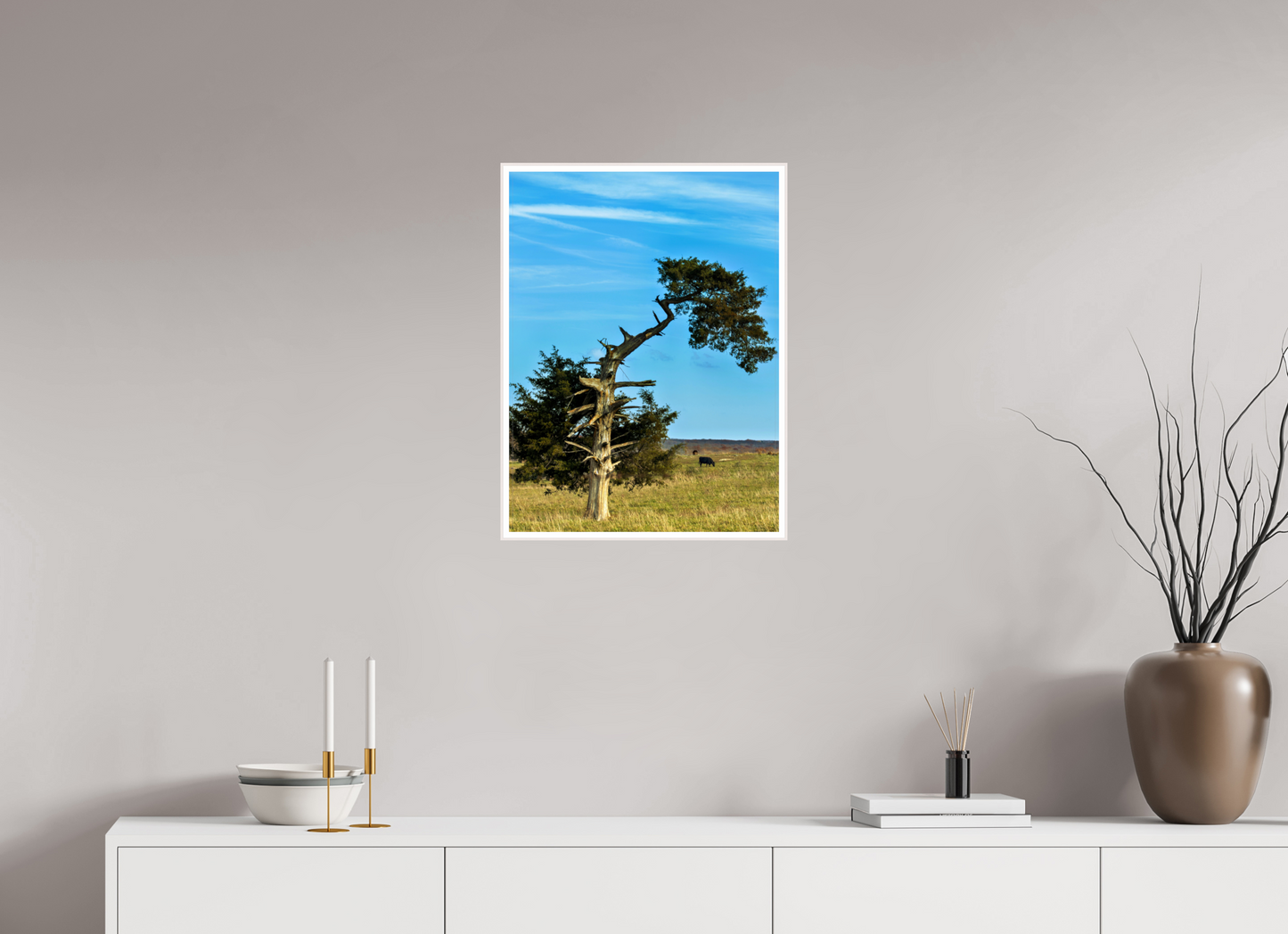 Still Standing – The Cedar That Reached for the Sky
