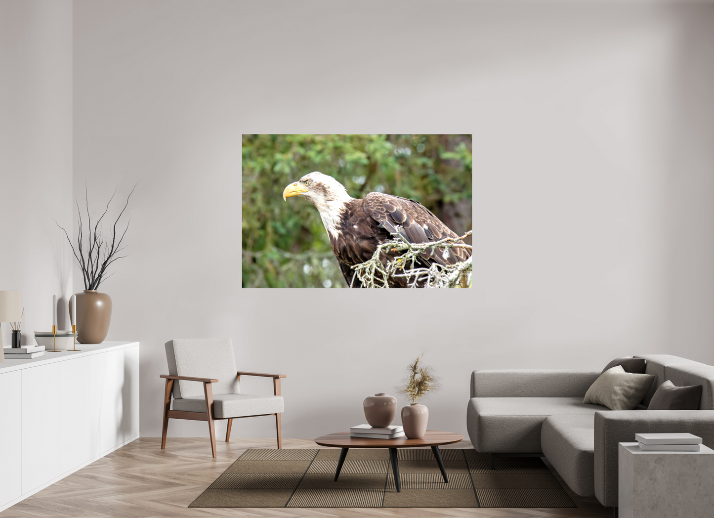 Majestic Watch – Bald Eagle on the Kenai Peninsula Nature Photography Print