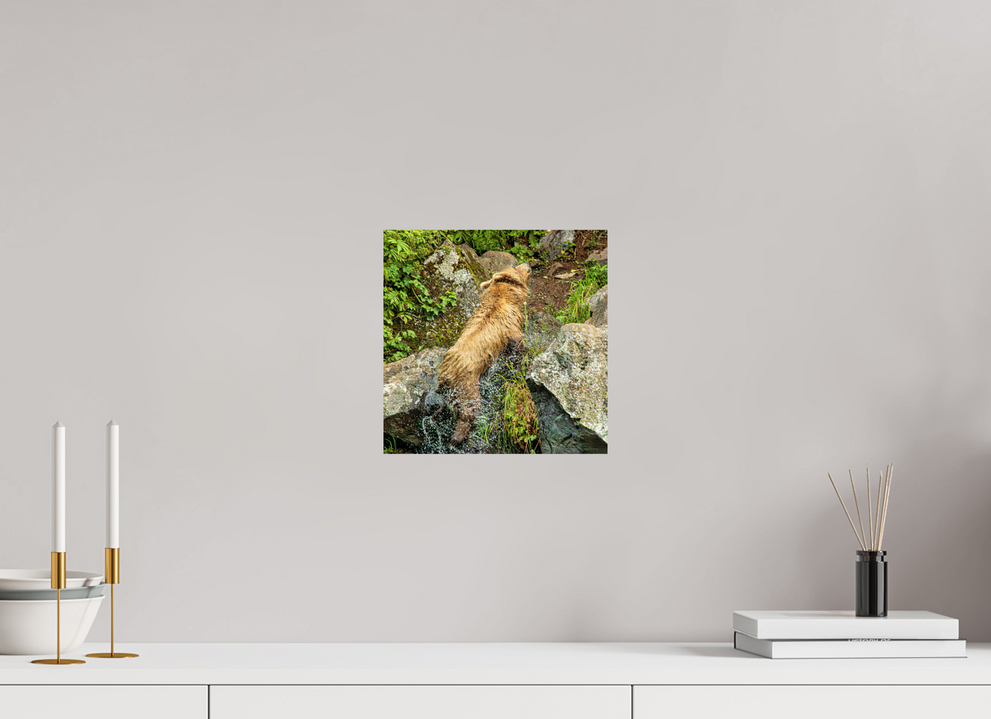 The Shake Nature Photography Print