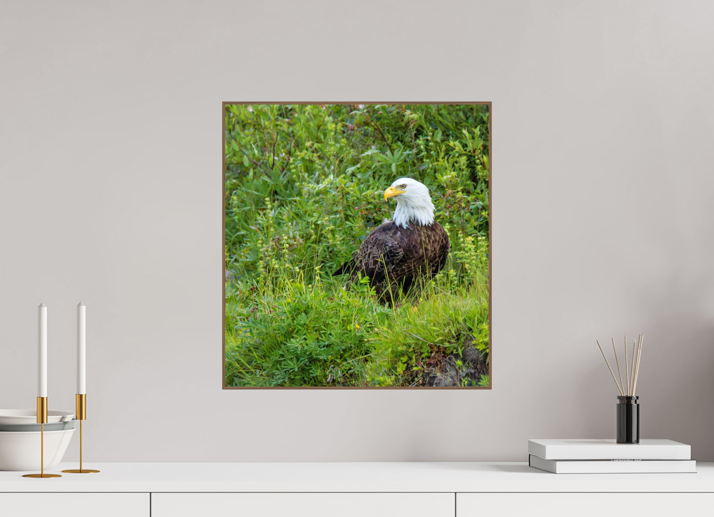 Grounded Majesty – Bald Eagle in Alaska’s Wilderness Nature Photography Print