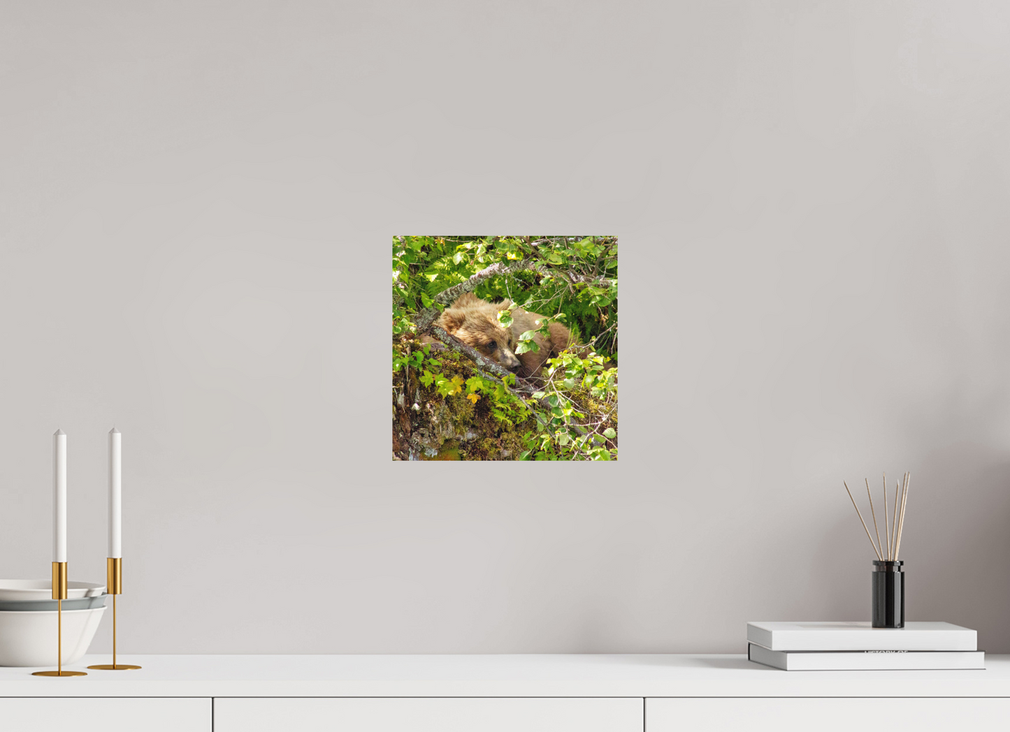 Hide and Peek Nature Photography Print
