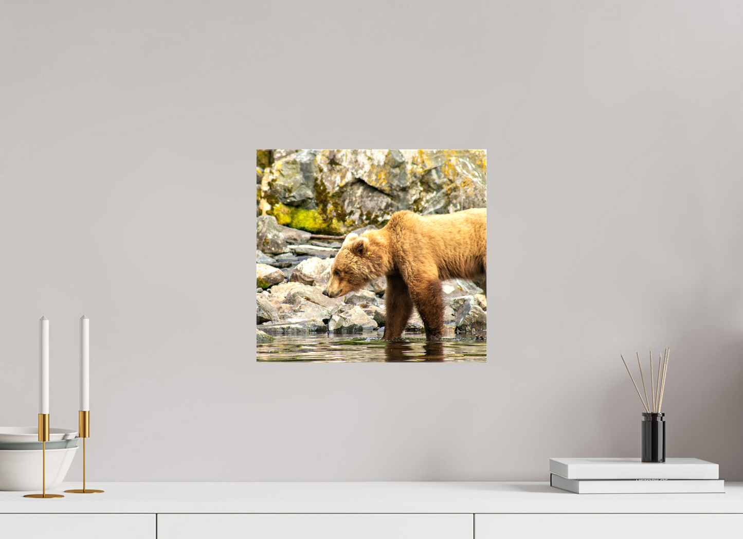 Looking for Dinner Nature Photography Print