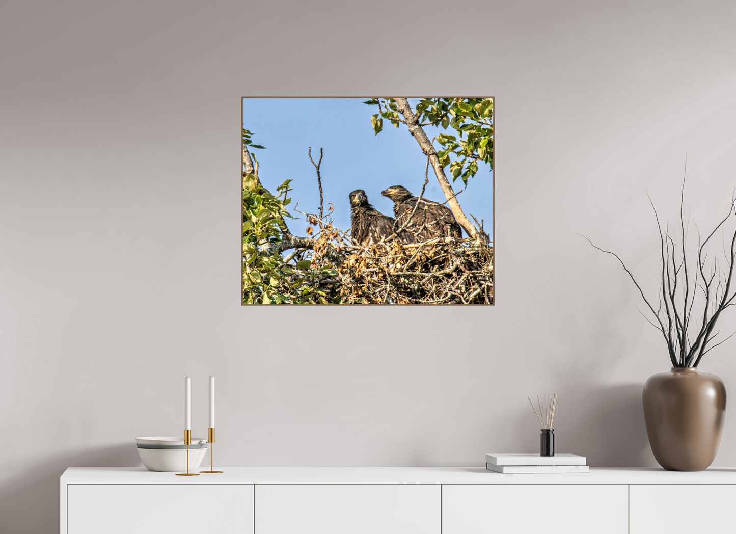 Nestmates – Young Eagles in a Woodland Home – Nature Photography Print