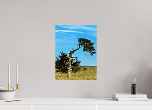 Raven Wind Photography & Illustrations-Still Standing and Reaching for the Sky Fine Art Nature Print -