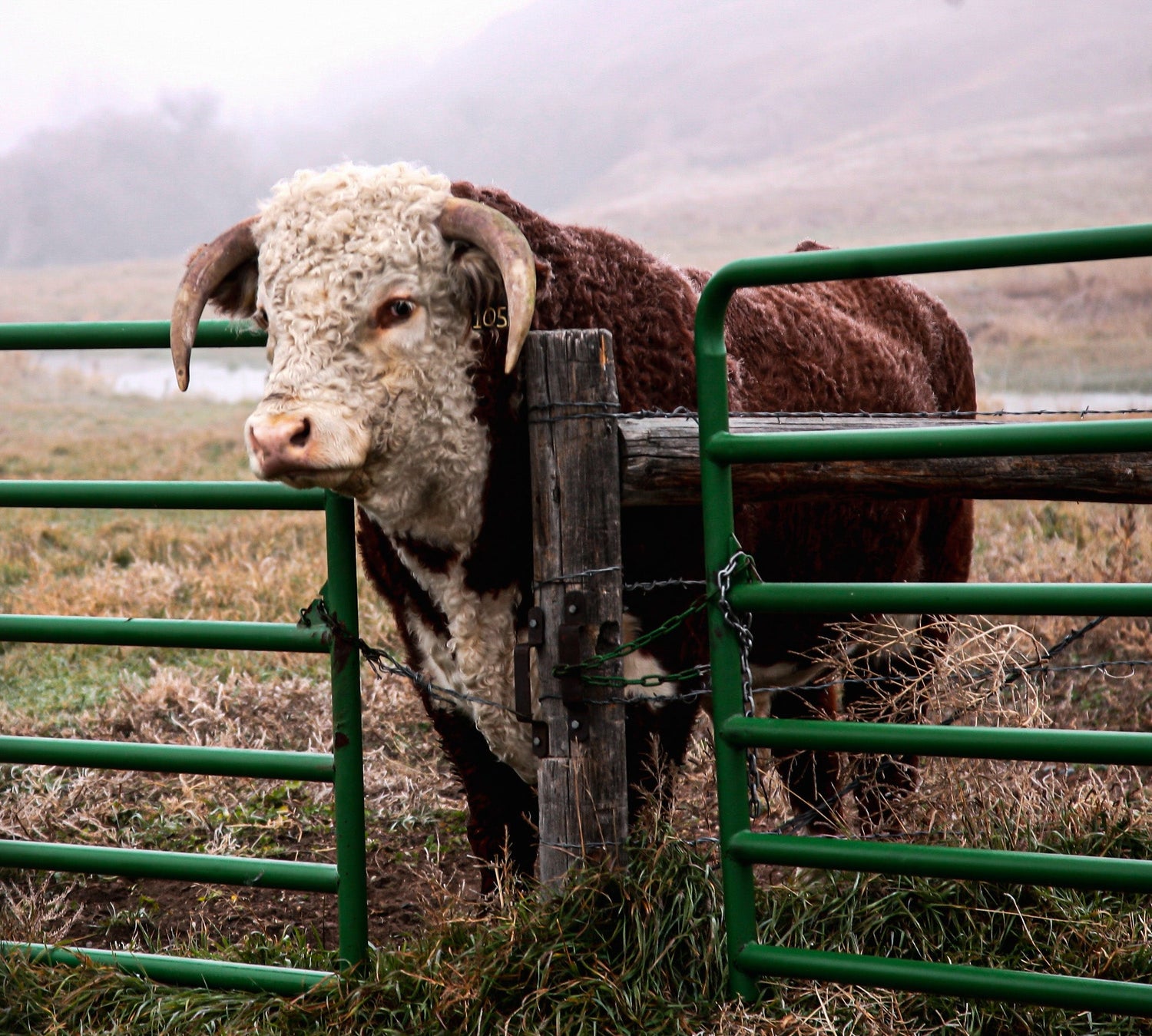 Agriculture landscapes