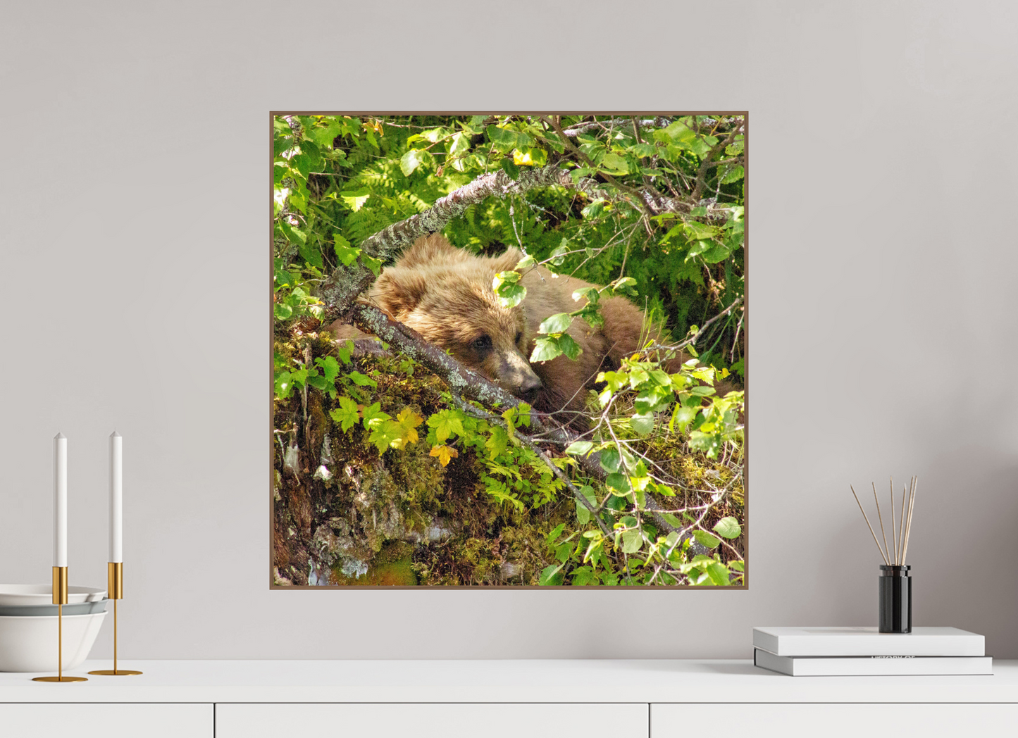 Hide and Peek Nature Photography Print