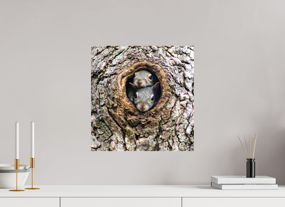 Curious Peek Nature Photography Print