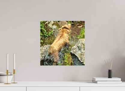 The Shake Nature Photography Print