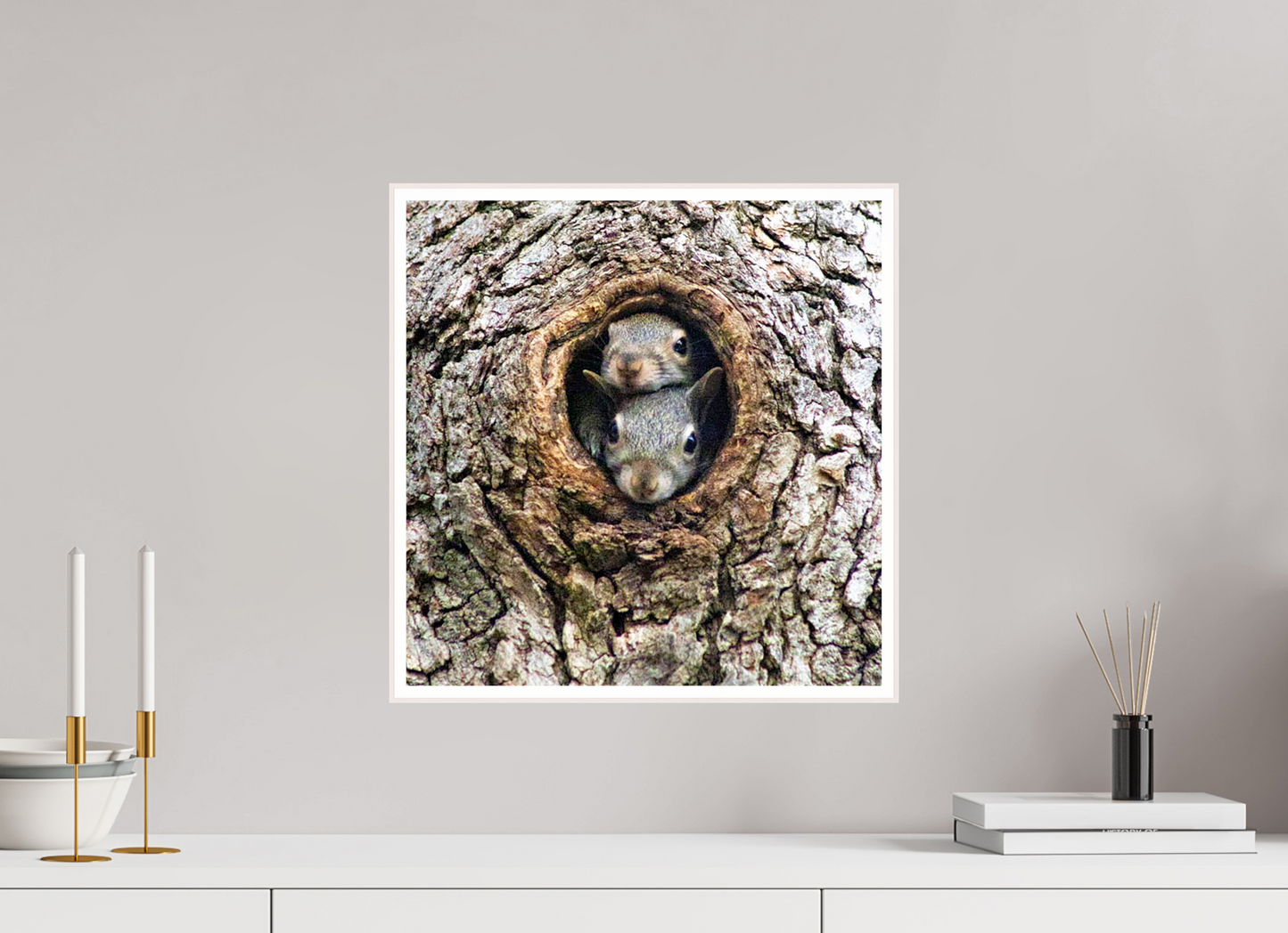 Curious Peek Nature Photography Print