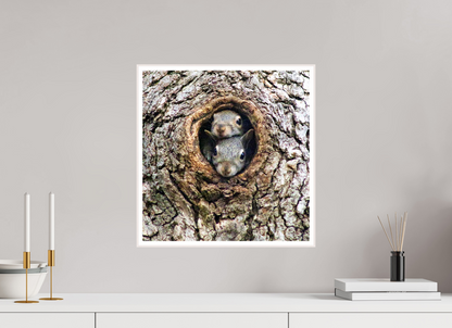 Curious Peek Nature Photography Print