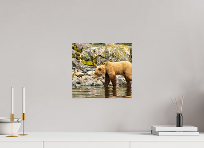 Looking for Dinner Nature Photography Print