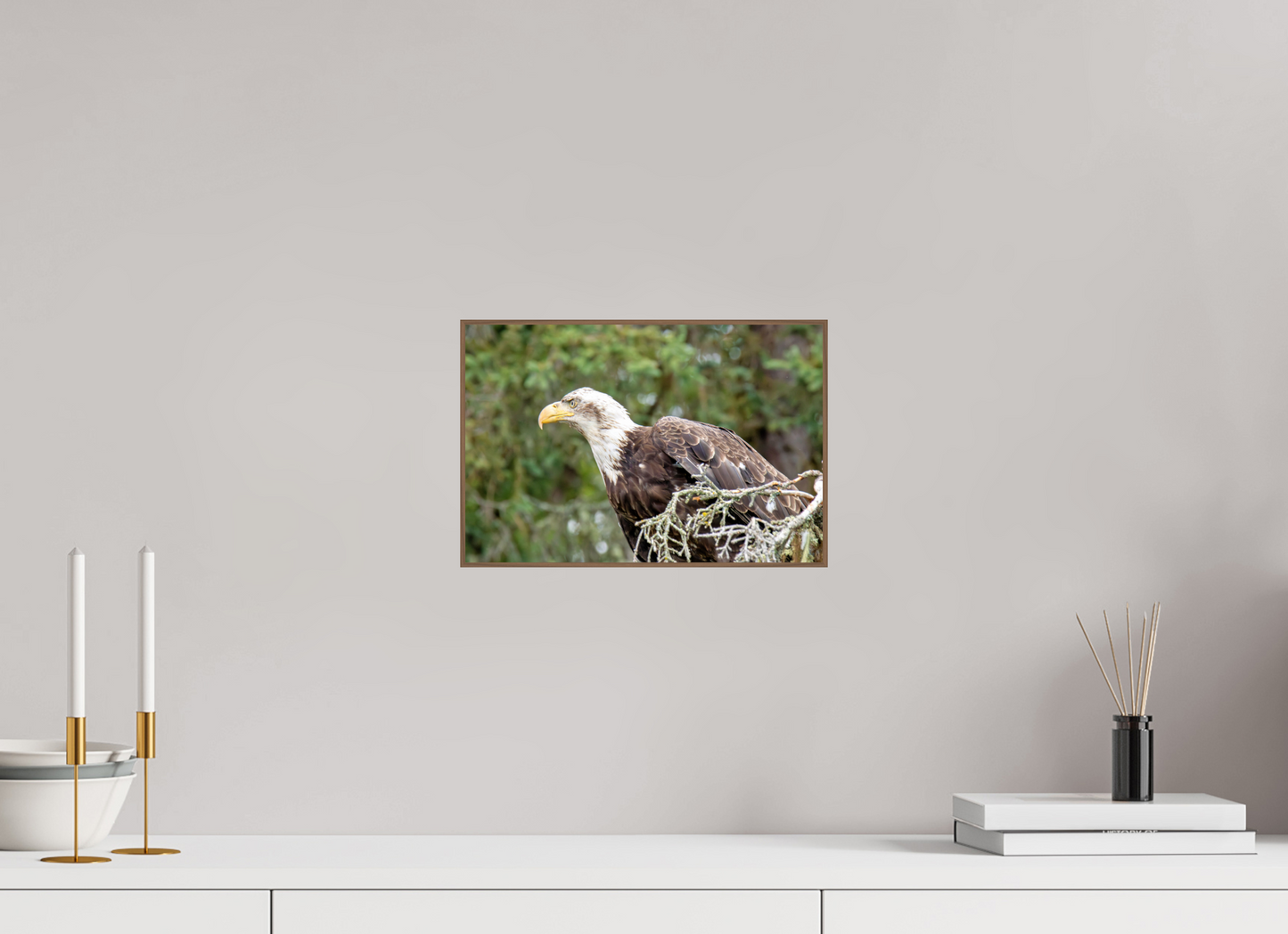 Majestic Watch – Bald Eagle on the Kenai Peninsula Nature Photography Print