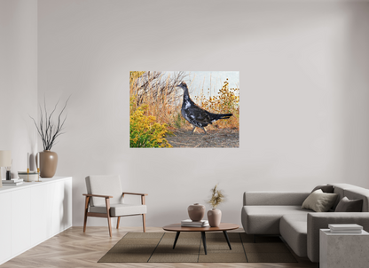 Grounded Grace – Fine Art Print of a Wild Grouse
