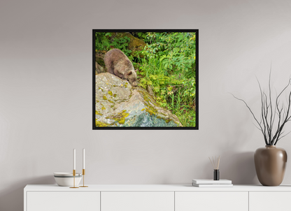 Learning the Ropes Nature Photography Print