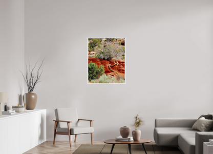 Resilient Roots – Twisted Tree in Red Rock Desert Fine Art Print