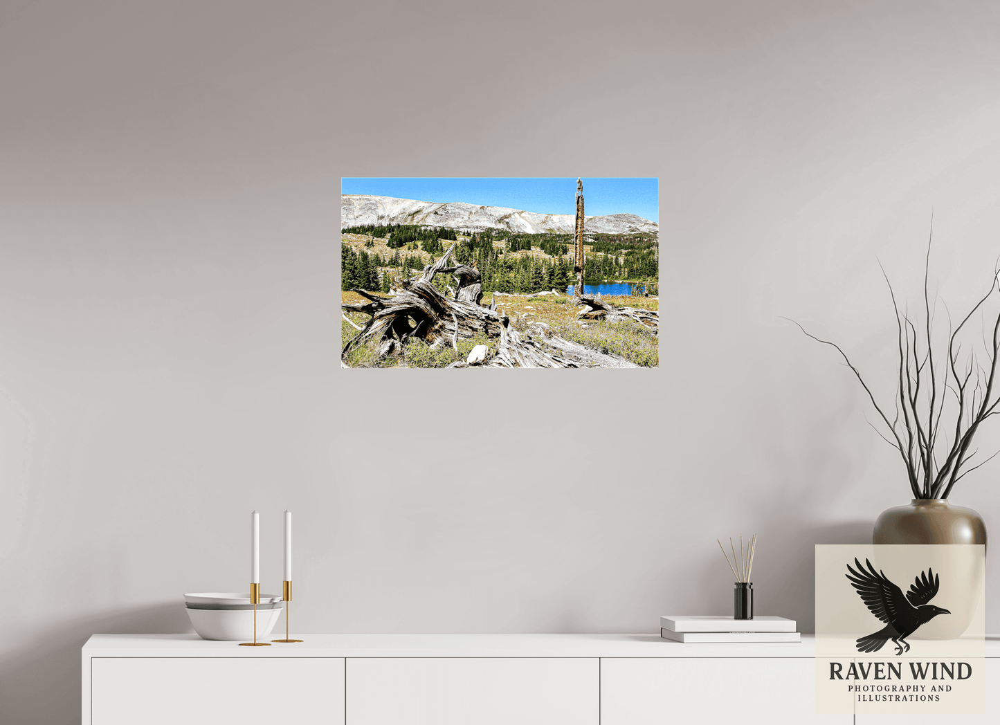 26.8 x 16″, Print on Canvas - ready to hang or set on a shelf Standing Bear Tree - Bear Lake, Colorado Nature Photography Print