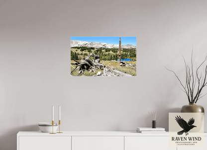 26.8 x 16″, Print on Canvas - ready to hang or set on a shelf Standing Bear Tree - Bear Lake, Colorado Nature Photography Print