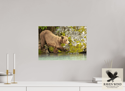 17 x 12″, ChromaLuxe HD Metal Print - ready to hang Momma on a Mission Nature Photography Print