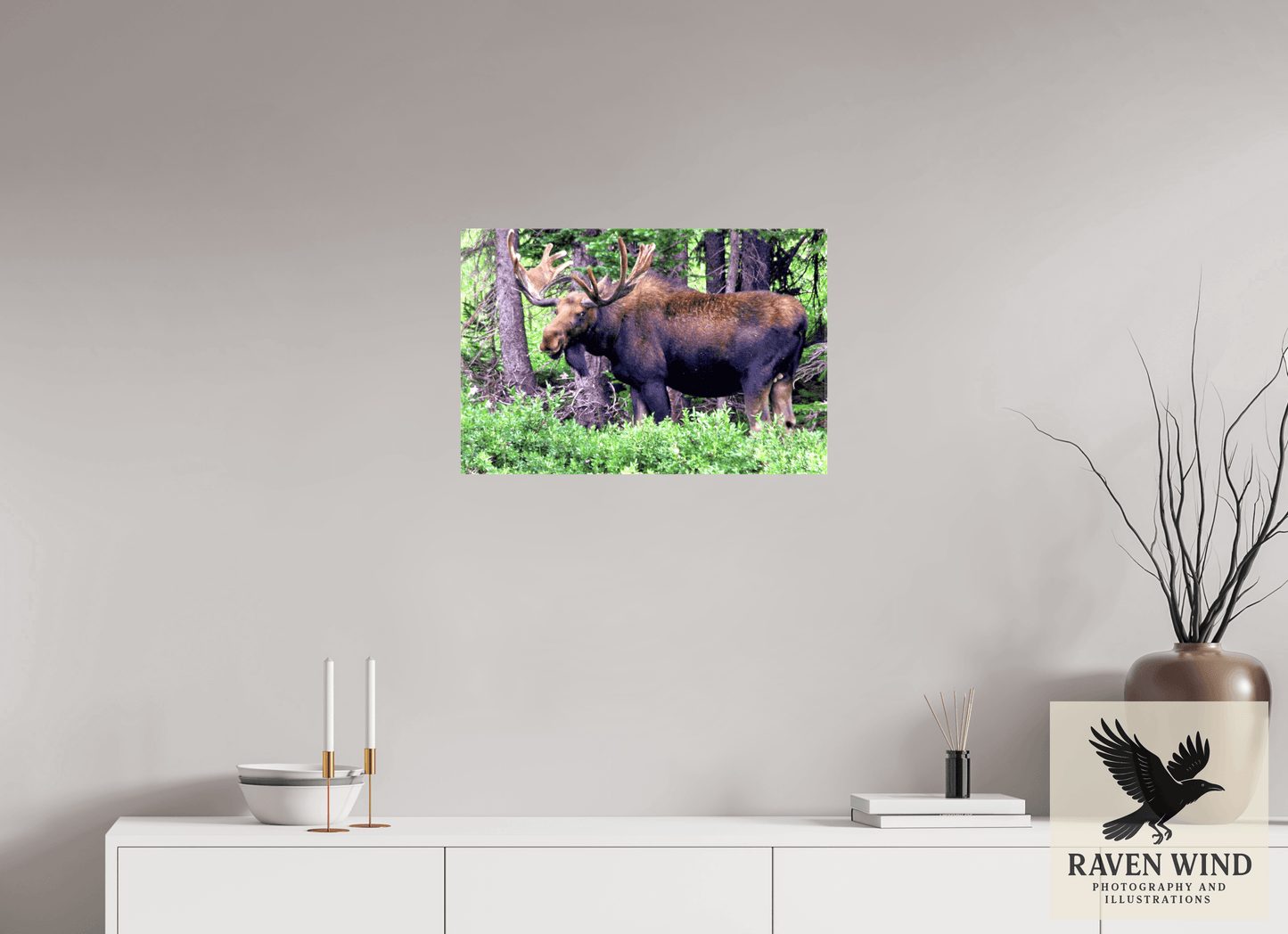 24 x 16″, Print on Canvas - ready to hang or set on a shelf Watchful Moose Nature Photography Print