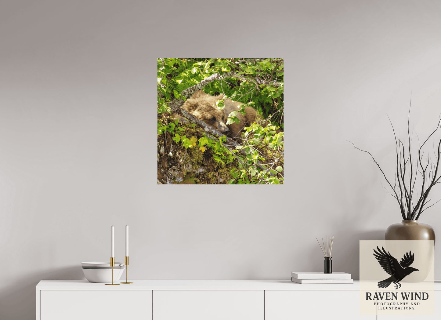 25 x 25″, Photo Print On Fuji Crystal DP II - unframed Hide and Peek Nature Photography Print