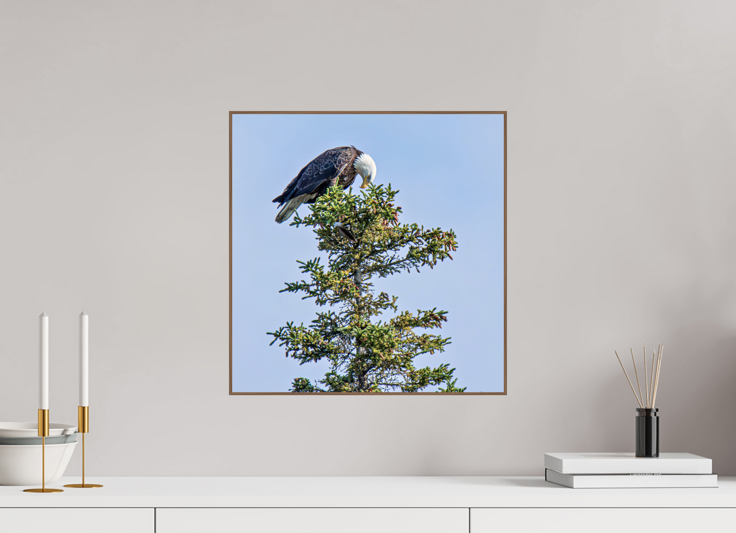 Silent Sentinel – Bald Eagle in Alaska’s Pines Nature Photography Print