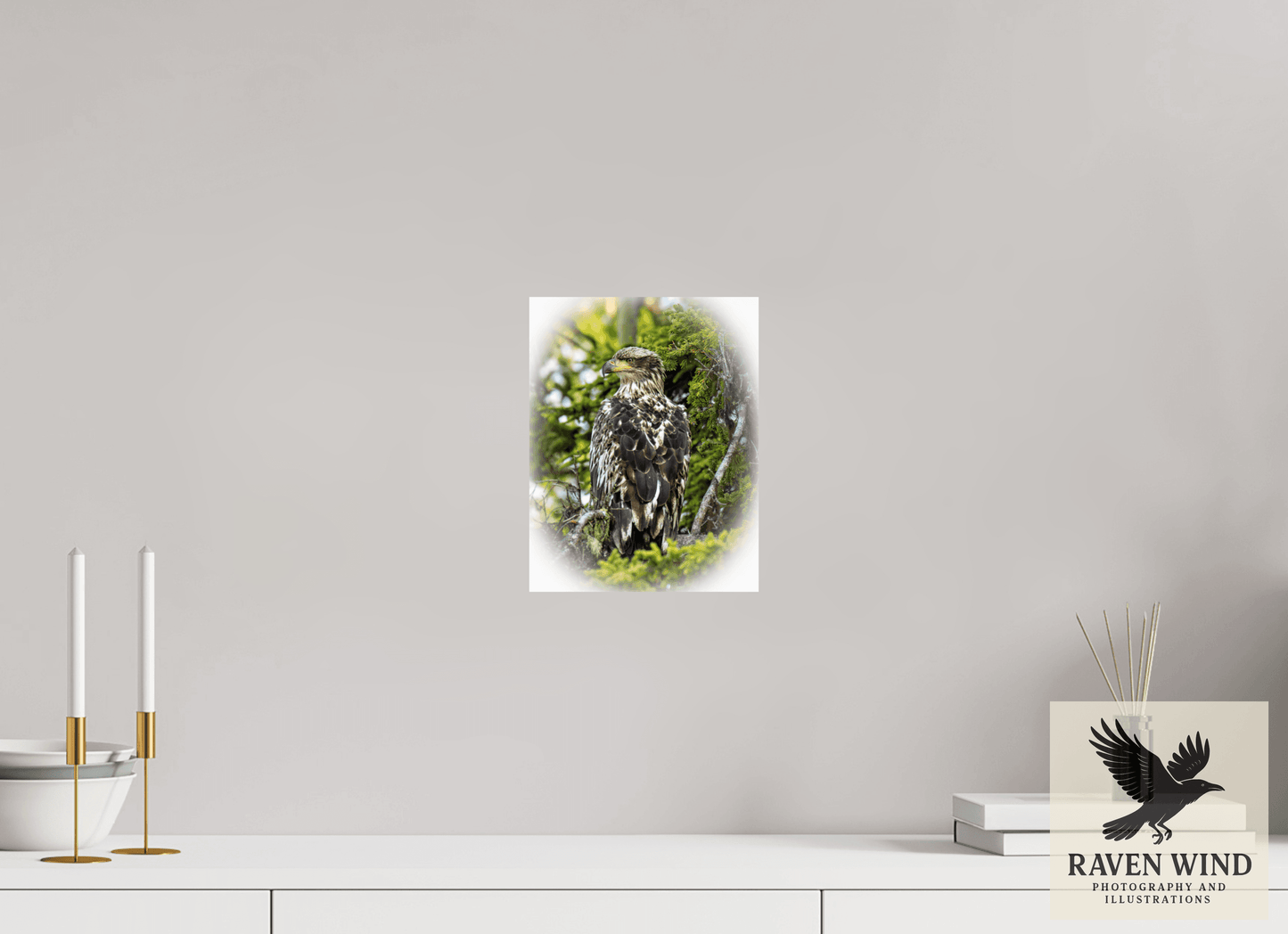 8 x 10.3″, Fine Art Print on Photo Rag Baryta - unframed (email for frame options) Forest Watch - Young Eagle Among the Pines Nature Photography Print