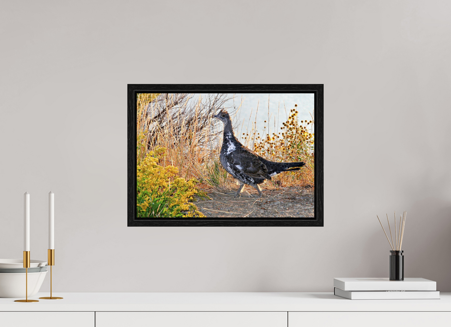 Grounded Grace – Fine Art Print of a Wild Grouse