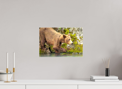 Testing the Waters Nature Photography Print