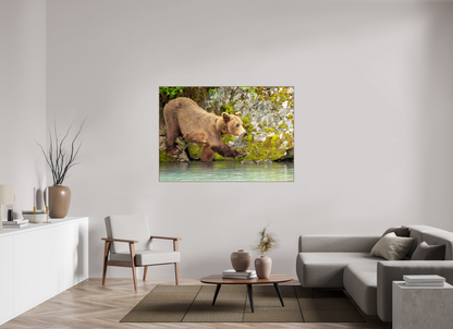 Momma on a Mission Nature Photography Print