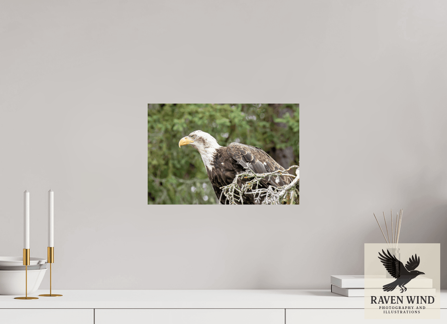 15 x 10″, Fine Art Print on Pearl Texture - unframed (email for frame options) Majestic Watch - Bald Eagle on the Kenai Nature Photography Print